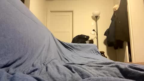 Snapshot of bigbuster685 chatting on November 19, 7:08 am Buster685 online show from November 19, 7:08 am