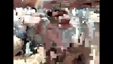 Snapshot of bigdaddy1231995 chatting on September 15, 6:41 pm BigDaddykodack online show from September 15, 6:41 pm