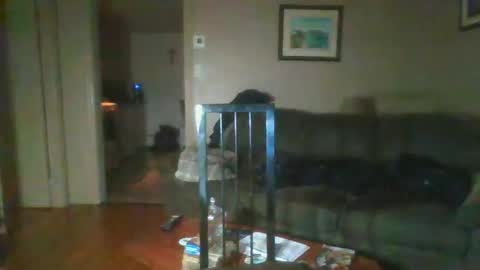 Snapshot of bigdeer581917471 chatting on February 1, 8:08 am bigdeer581917471 online show from February 1, 8:08 am