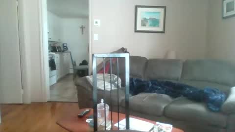 Snapshot of bigdeer581917471 chatting on February 2, 5:48 pm bigdeer581917471 online show from February 2, 5:48 pm