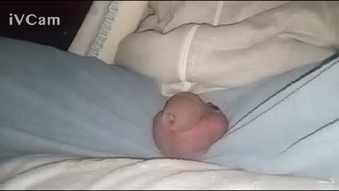 Snapshot of bigdick666cm chatting on February 2, 4:05 am Big online show from February 2, 4:05 am