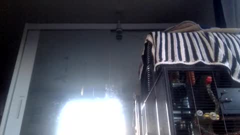 Snapshot of bigdickdangles472924 chatting on September 19, 6:08 pm bigdickdangles472924 online show from September 19, 6:08 pm