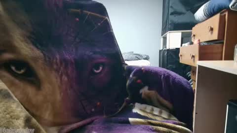 George Forest Dickyduby on all Socials online show from November 12, 2:01 am