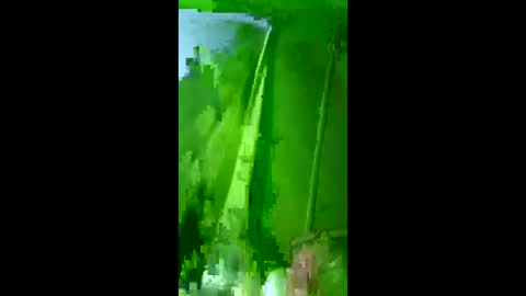 Snapshot of bigdog9thick chatting on December 3, 7:27 am bigdog9thick online show from December 3, 7:27 am