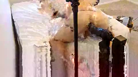 Biggape online show from November 26, 6:14 am