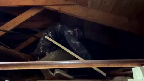 Snapshot of bigjim6646 chatting on September 21, 3:02 pm bigjim6646 online show from September 21, 3:02 pm