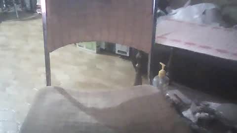 Snapshot of bigpenix chatting on January 26, 3:48 am bigpenix online show from January 26, 3:48 am