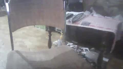 Snapshot of bigpenix chatting on March 2, 3:56 am bigpenix online show from March 2, 3:56 am