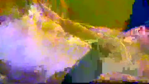 Snapshot of bigrigxxxx chatting on December 10, 12:16 pm bigrig online show from December 10, 12:16 pm