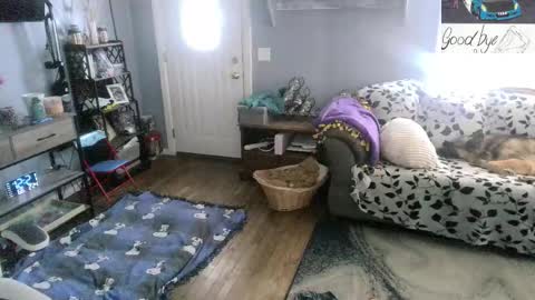 Skittles online show from February 24, 5:22 pm