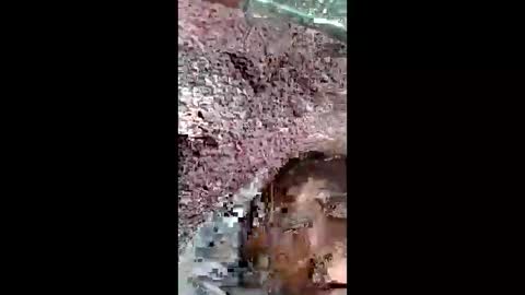 bigwalkdog420 online show from December 25, 2:56 pm