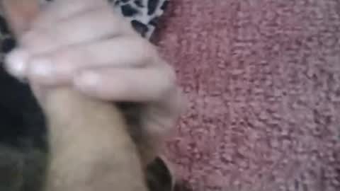 bigwalkdog420 online show from January 26, 6:58 pm