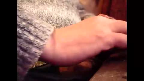 bilco03 online show from November 20, 2:17 pm