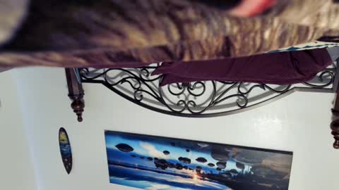 Starlyte online show from March 2, 8:40 pm