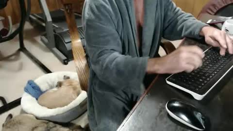 billy471 online show from November 20, 3:12 pm