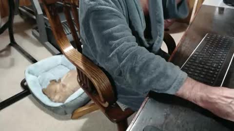 billy471 online show from December 5, 10:35 am