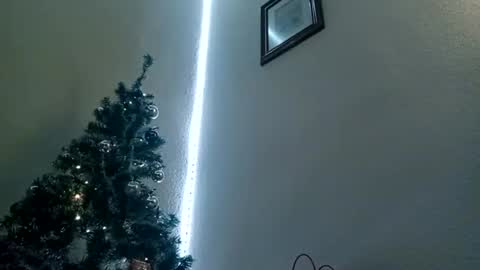 Bill online show from January 6, 10:24 am