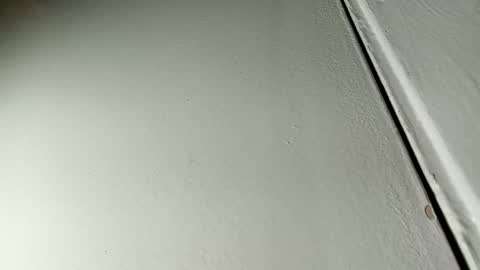 Bill online show from January 19, 7:36 am