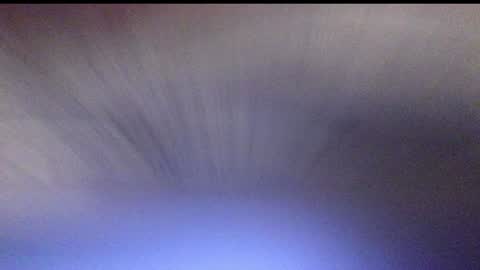 Snapshot of bimbokitten666 chatting on December 7, 4:31 am Danny online show from December 7, 4:31 am