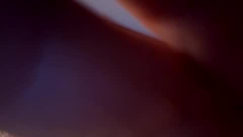 Snapshot of bird70 chatting on November 16, 6:30 am spunday online show from November 16, 6:30 am