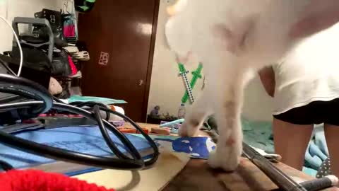 Snapshot of bisexmangenx chatting on November 9, 8:07 pm Manu O online show from November 9, 8:07 pm