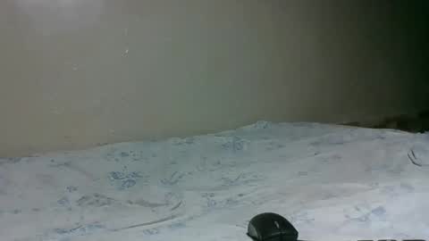 bitchcam_ online show from November 28, 9:06 pm