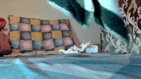 if you love pussy give 1 token - im a poor girl any token counts-my shop video pussy  virgina  hairy pussy 1 token online show from March 10, 9:07 pm