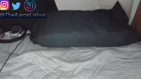 bizarre99 online show from January 13, 5:12 am