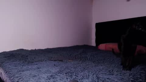 Snapshot of black_firex chatting on October 6, 4:59 pm black_firex online show from October 6, 4:59 pm