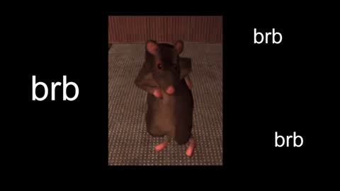 Snapshot of black_kittie_01 chatting on January 31, 1:12 pm Black Kittie Wednesday - 1300 - 1900 GMT help me get 100 thumbs up online show from January 31, 1:12 pm