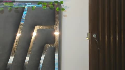 B L A C K  R O S E  online show from January 30, 11:33 am