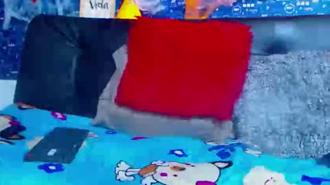 Snapshot of black_seus85 chatting on November 5, 5:13 pm duglas online show from November 5, 5:13 pm