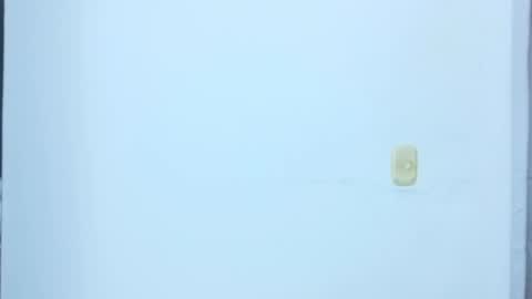 black_treassure online show from February 12, 5:35 am