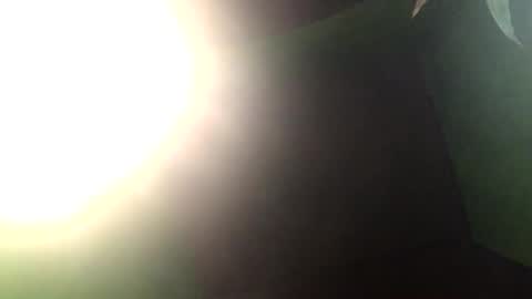 Crystal online show from December 27, 1:50 pm