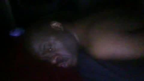 blackteddybear online show from February 19, 6:20 am