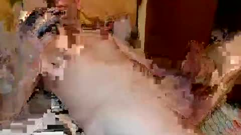 Snapshot of blagoy07 chatting on December 15, 11:09 pm blagoy07 online show from December 15, 11:09 pm