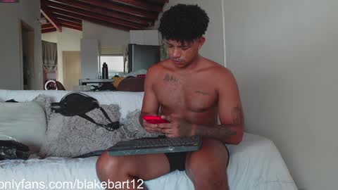 Snapshot of blakemate chatting on January 18, 7:15 pm BLAKE BART Help us reach 100 likes online show from January 18, 7:15 pm