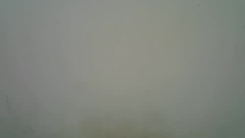 Snapshot of blesse_mixed chatting on November 7, 5:18 am Black brown online show from November 7, 5:18 am