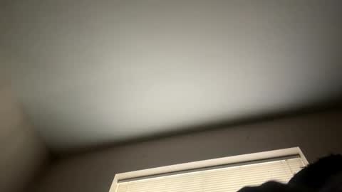 blkbbcking online show from December 1, 2:11 pm