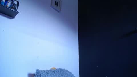 bunbury online show from September 22, 12:40 pm