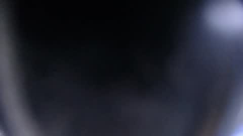 bunbury online show from October 12, 1:43 pm