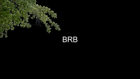 SONNYVAN online show from January 14, 10:25 pm