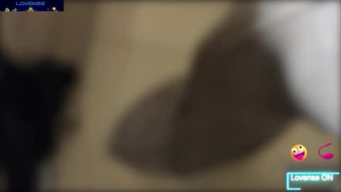 Snapshot of bob_pettersonn chatting on December 18, 4:46 pm Bob INDEPENDENT MODEL online show from December 18, 4:46 pm