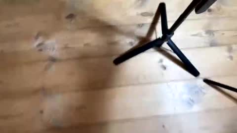 Snapshot of bohemianrhapsody1 chatting on December 4, 10:57 am Nail and Olivia online show from December 4, 10:57 am