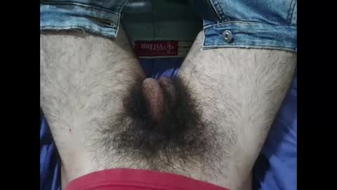 Snapshot of bomvemcam chatting on November 27, 1:24 pm Im Bom - Tip if You Liked my Hairy Body - Private Show is Open - Read more about me in the bio below online show from November 27, 1:24 pm