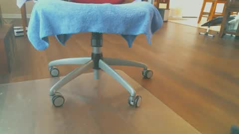 Snapshot of bone2play chatting on December 15, 1:37 pm FRECKLES online show from December 15, 1:37 pm