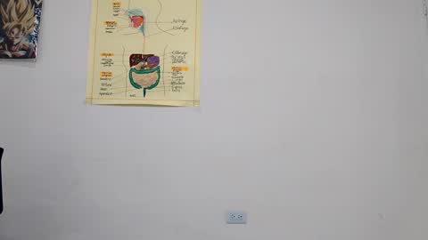 Boner Steve online show from September 14, 3:49 am