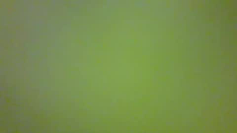 bonniediamond online show from October 30, 6:52 pm