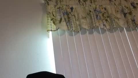 sissy slut boobi online show from April 21, 10:01 pm