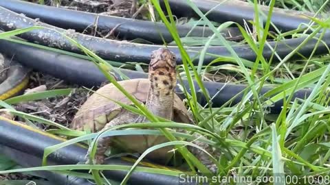 Snapshot of booker_baxton chatting on October 30, 2:57 am Booker Baxton online show from October 30, 2:57 am